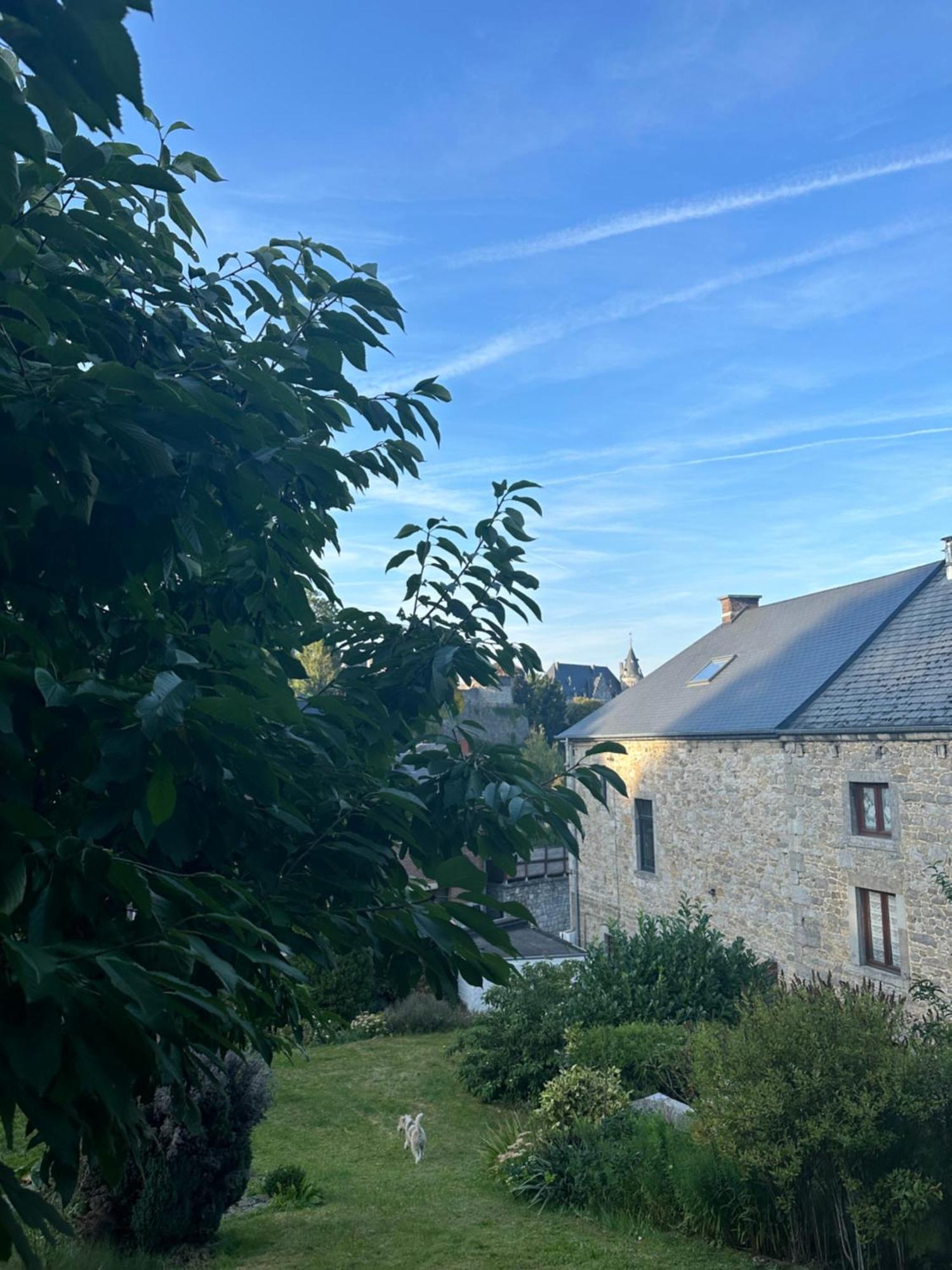 Maison Comtale Rochefort Exterior foto